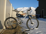 2009 xl novara big buzz bike