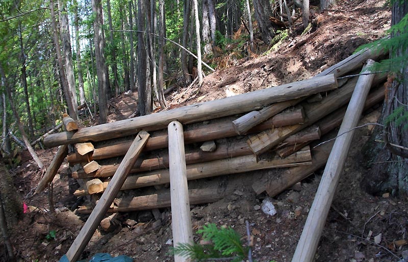Obligatory Trail work pic! 