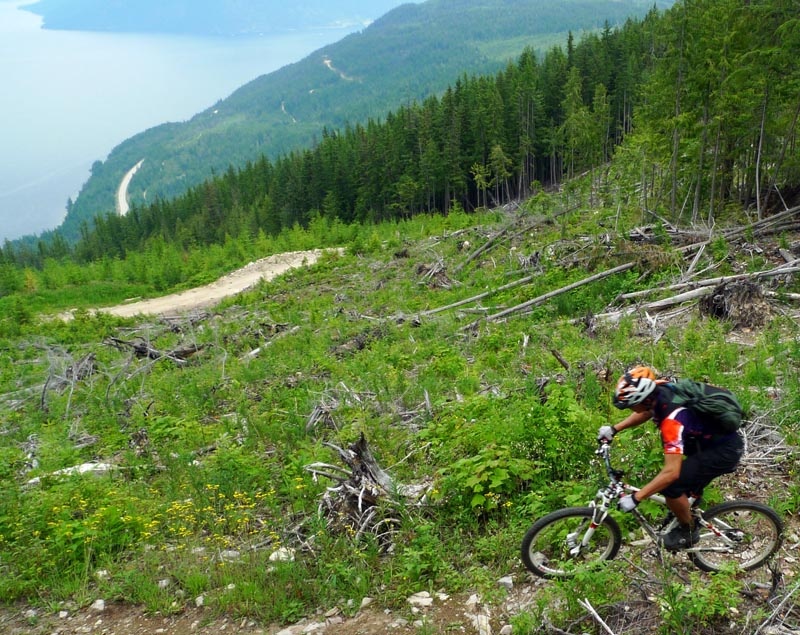 Shuswap Lake Bc. View of Shuswap Lake