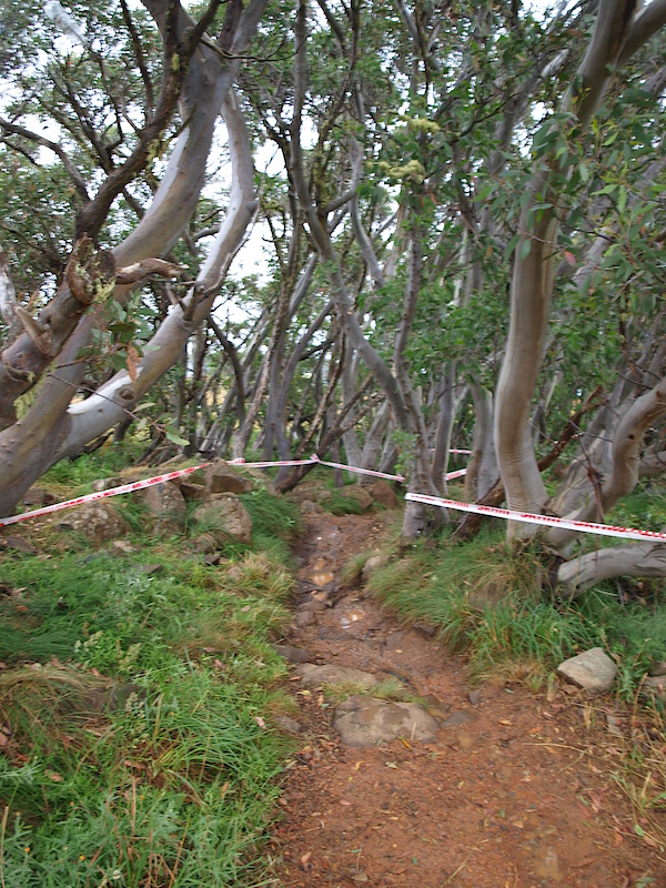 From here riders enter the woods for the first time as the track traverses the ski slopes. The rain has washed away much of the dirt packed around the rocks making them protrude out of the ground higher. Expect a few riders to clip a pedal on these or catch a derailleur or two!