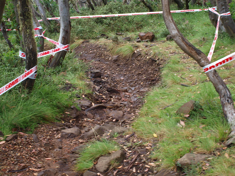 Throughout this wooden section, trees protrude into the riders' path, meaning ducking and weaving is common practice. This corner has enough support in the berm for riders to enter at speed with confidence.