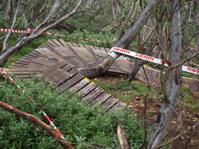 The course is littered with wooden features such as this corner in the woods, as well as numerous drops and rollers.