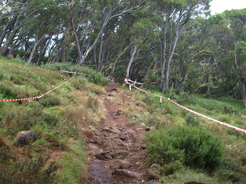 Exiting the first wooden section reveals a rocky traverse, the middle line has been worn in but the grass to the left is there for the taking and means you miss the majority of the rocks. The catch? You need to jump up onto it on the first place.