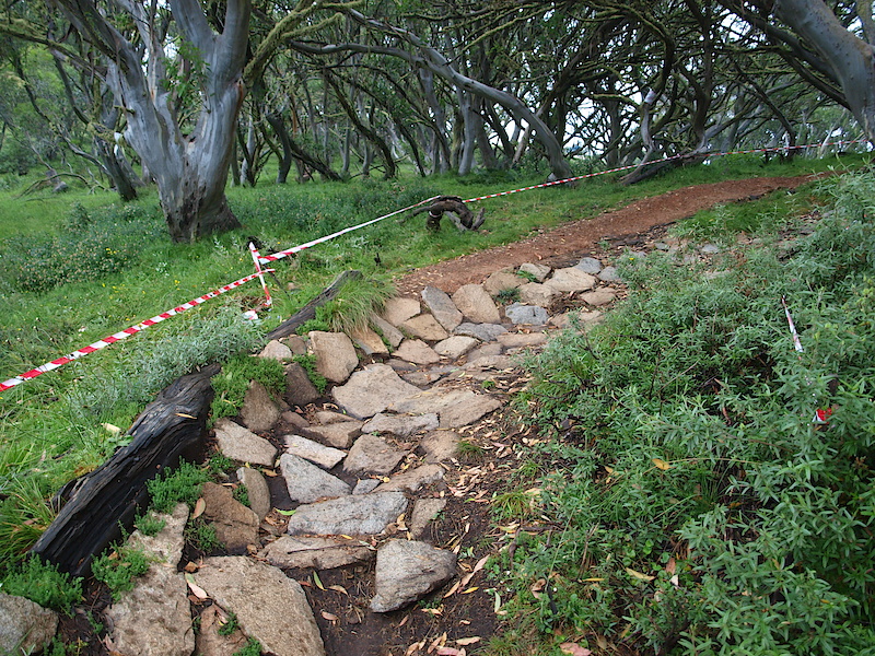 If you choose to drop it tightens this corner up, running out wide gives a smoother curve.