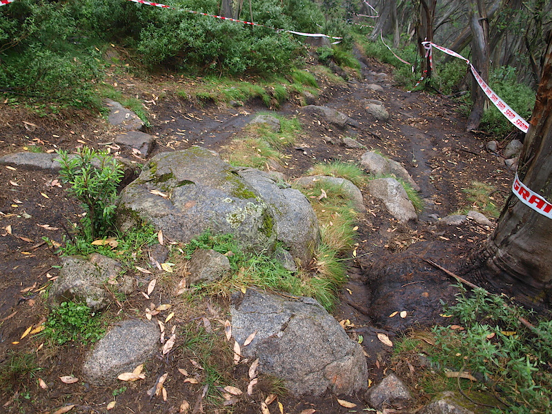 Heading into the second wooded section reveals more line choices, left or right?