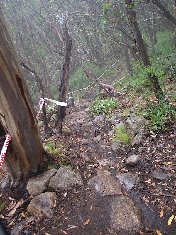 Another chute has rocks and roots protruding through, fortunately the soil is relatively grippy helping riders immensely.