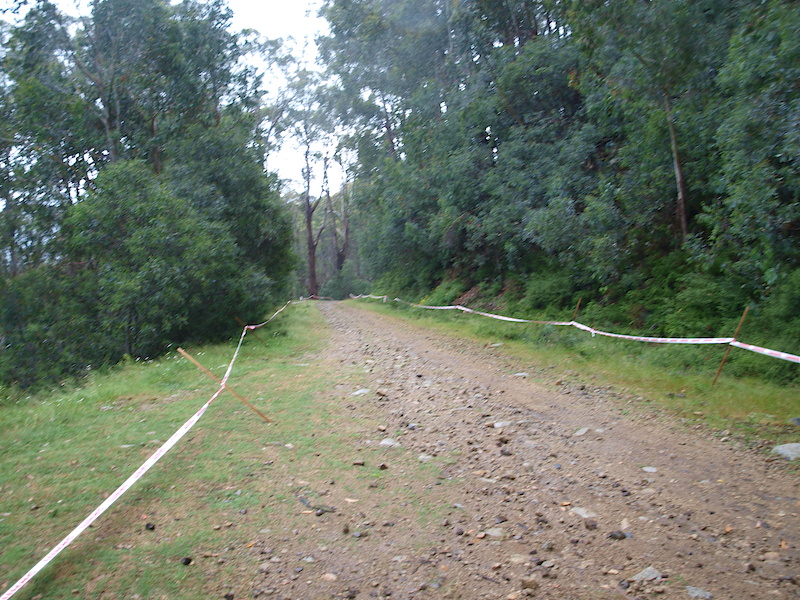 As you come out of the woods you flow through a series of switchbacks before hitting a fast fireroad that takes you to the bottom section.
