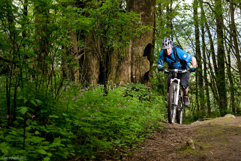 The Shinobi may be a bit portly, but it was at home on long climbs and responded well to both sitting or out of the saddle efforts.