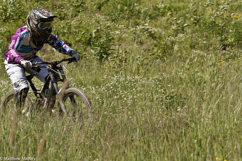 Most year's Kamloops is brown by August, but with more moisture than normal and not quite the heat it was looking lush and green.