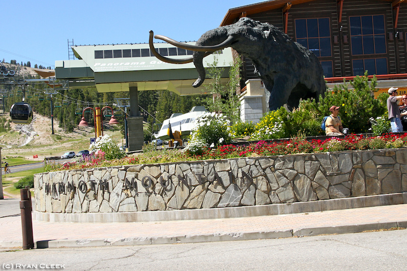 The main lodge gondola and resident pachyderm.
