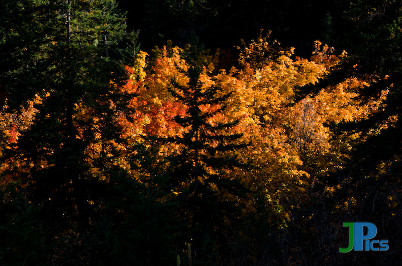 Autumn colours in the Okanagan