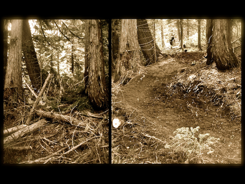 A before and after shot to show what we had to work with.