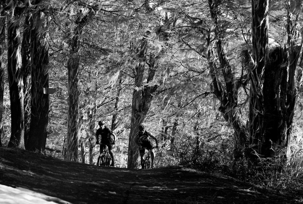 Lena trees strewn with moss make a stunning backdrop to having your ass kicked hard by the local XC riders. These guys are seriously fit.