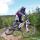 etboarder