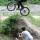 freeridefool1