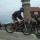 andyDH