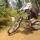 specializedkings