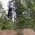 NorcoBiker99