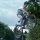 georgeson14