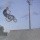 hollyroller