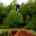 Terracerider94