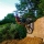 NBDmaryland