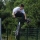 Tylercbmx123