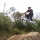 dillin1