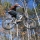 capecbiking
