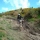 nzbikerider