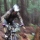 lifesaplayground