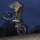 BMX-JEZYK-BMX
