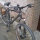 Bri-thebiker123