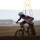 scsabika