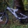 support-team