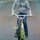 charliebmx96