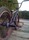 EasternRider010
