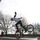 freddywoolner95