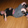 littlewheelrider