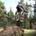 collins99