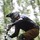 Knollybikes-eu