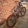 ruckus20