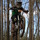 bdfreeride