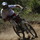 peters88