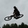 surlyrider