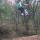 sxtrailriot