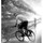 summrider234