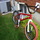 adambmx10