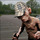 krisbmx