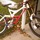 kentb276